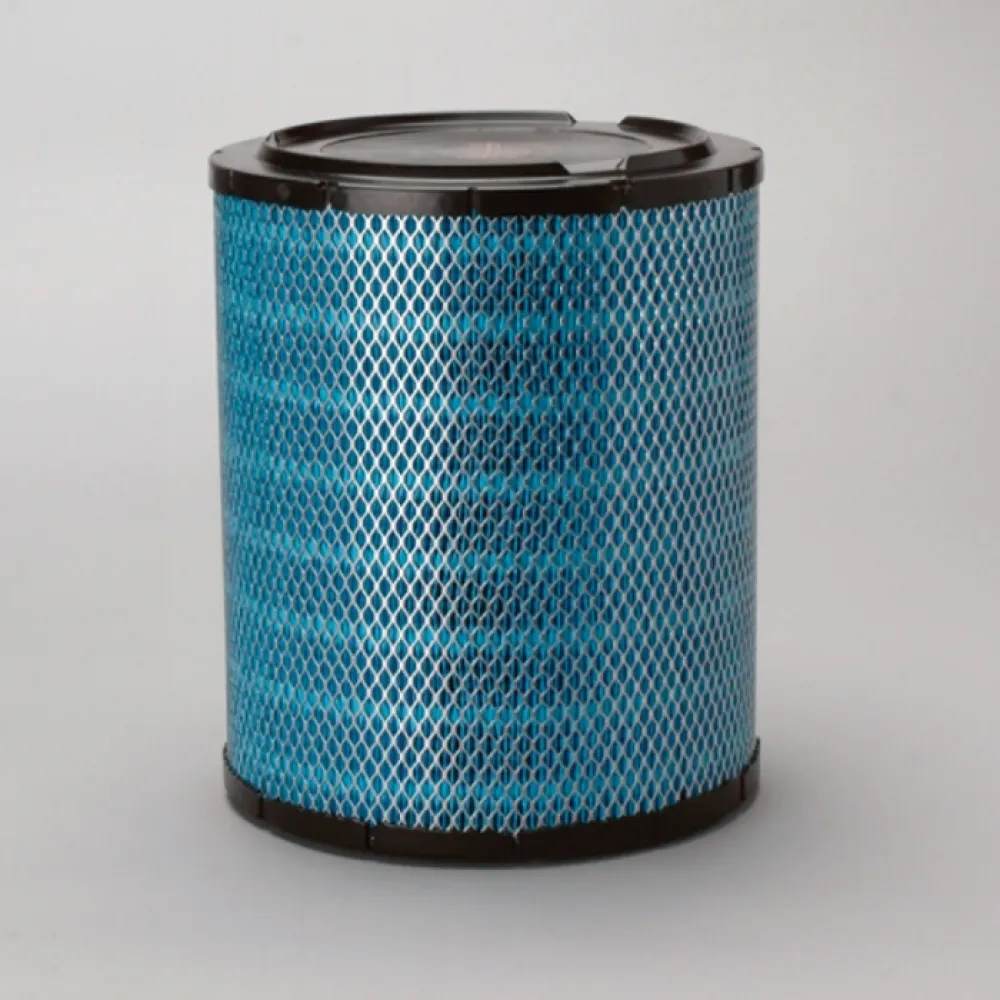 DBA5217 Donaldson lọc gió thô động cơ