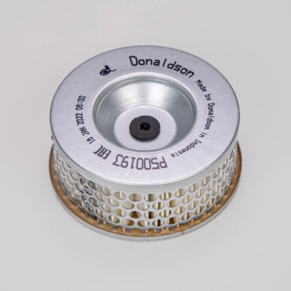 P500193 Donaldson lọc gió thô động cơ