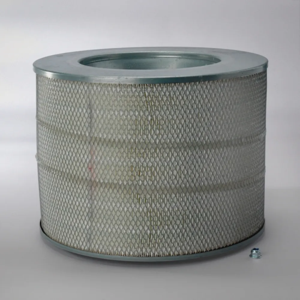 P780834 Donaldson lọc gió thô động cơ