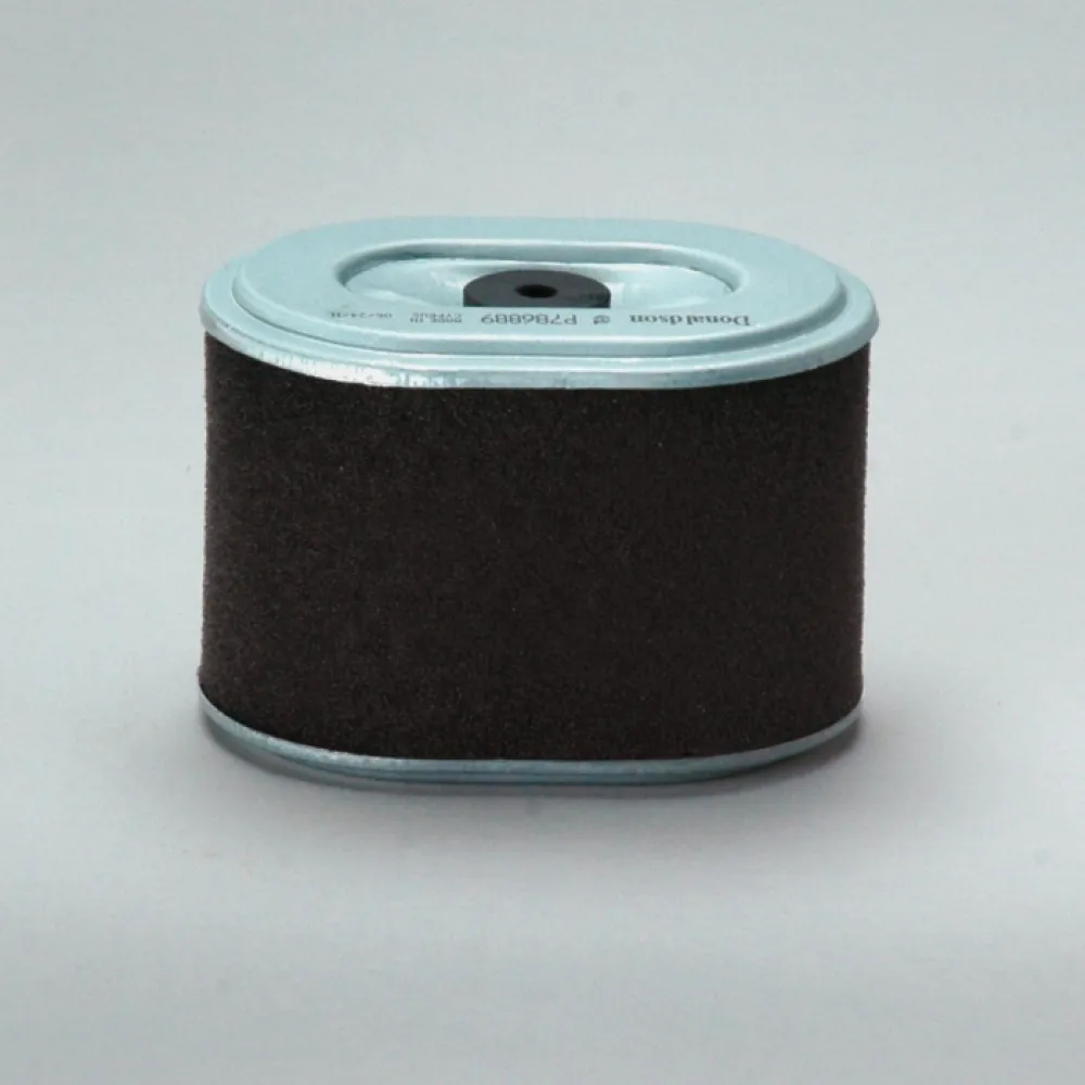 P786889 Donaldson lọc gió thô động cơ