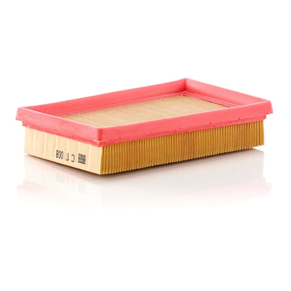 C17008 Mann Filter lọc gió thô động cơ