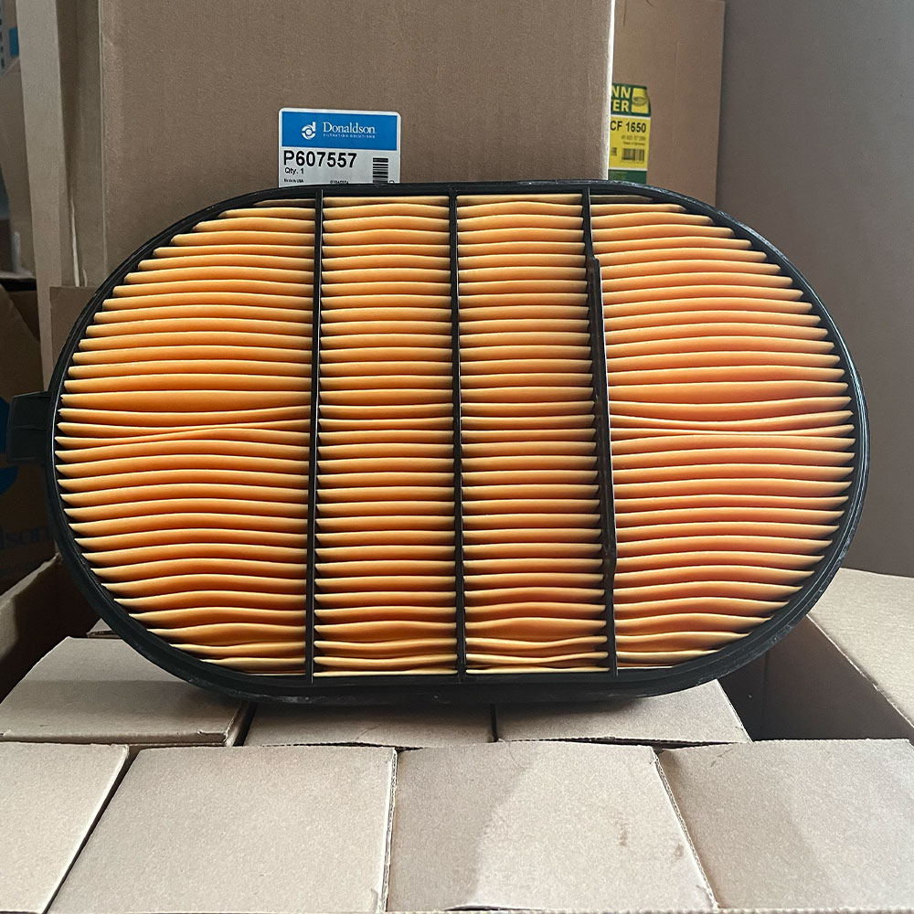 P607557 Donaldson lọc gió tinh động cơ