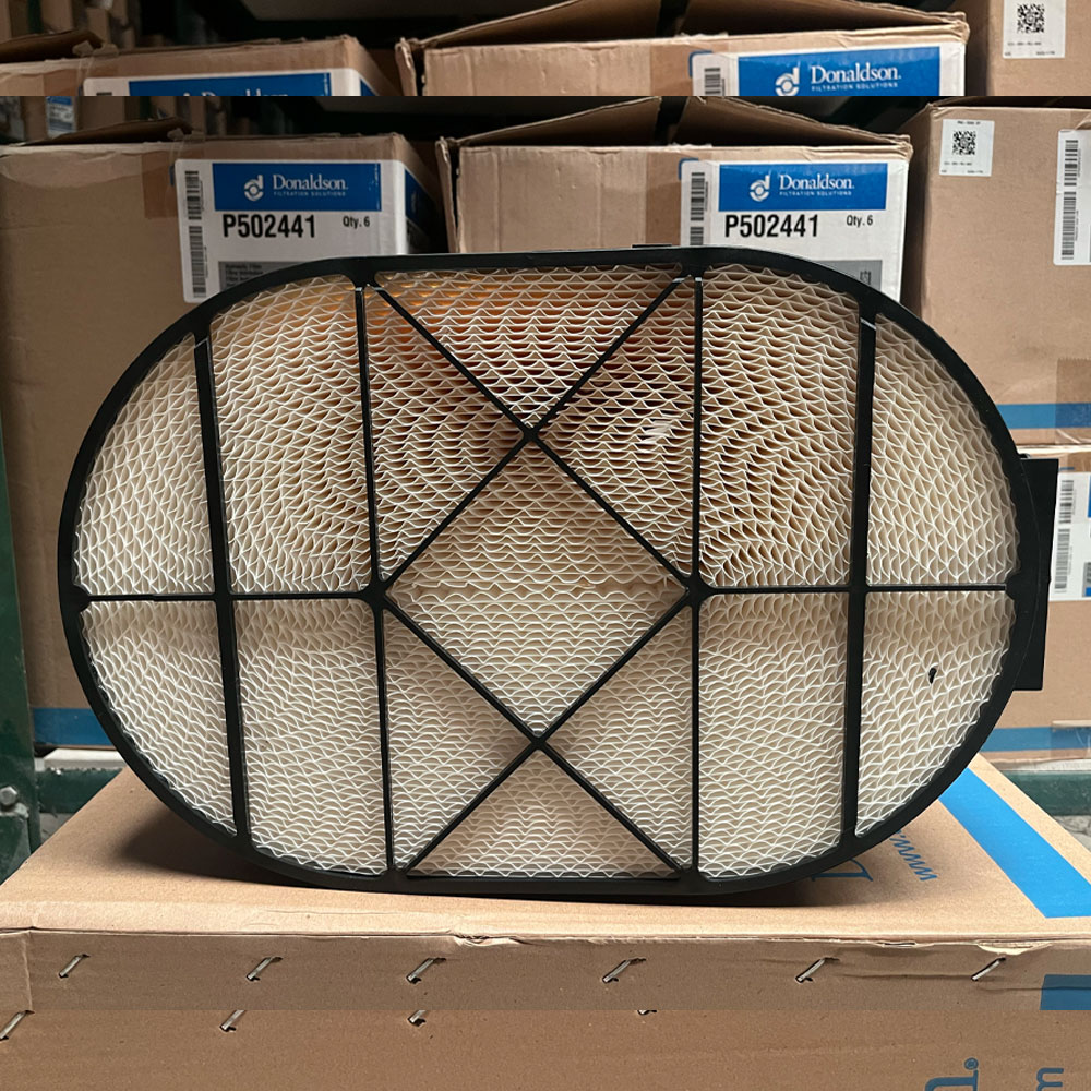 P608667 Donaldson lọc gió thô động cơ